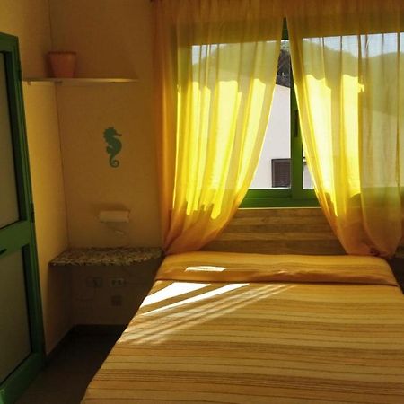 Hotel Lupo Di Mare 马里纳-迪卡斯塔涅托 外观 照片