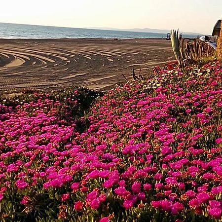 Hotel Lupo Di Mare 马里纳-迪卡斯塔涅托 外观 照片