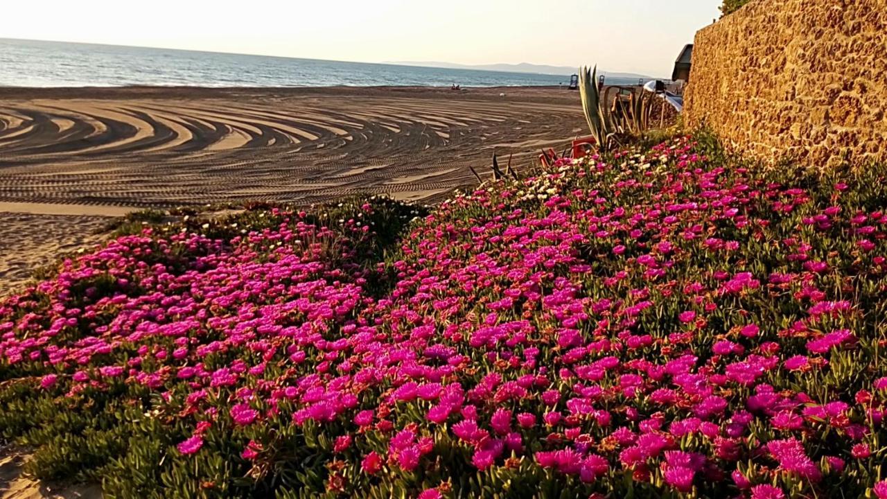 Hotel Lupo Di Mare 马里纳-迪卡斯塔涅托 外观 照片